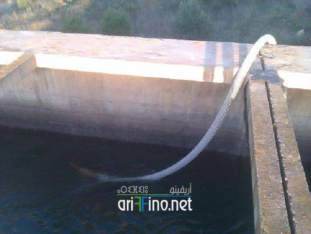 nador0491
