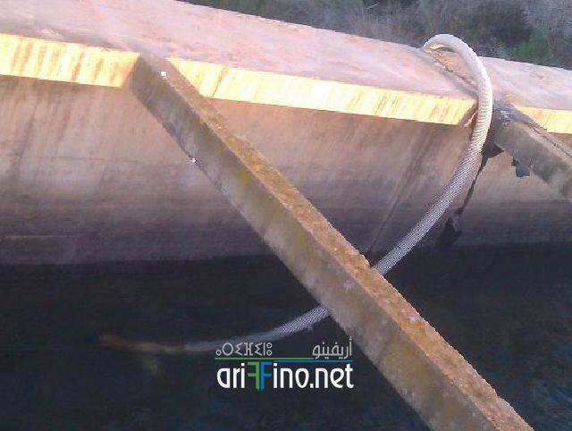 nador0493