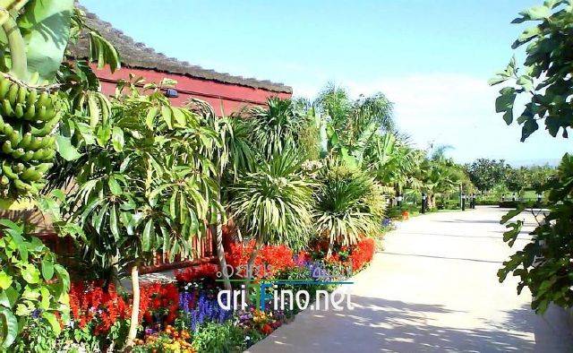 nador0594