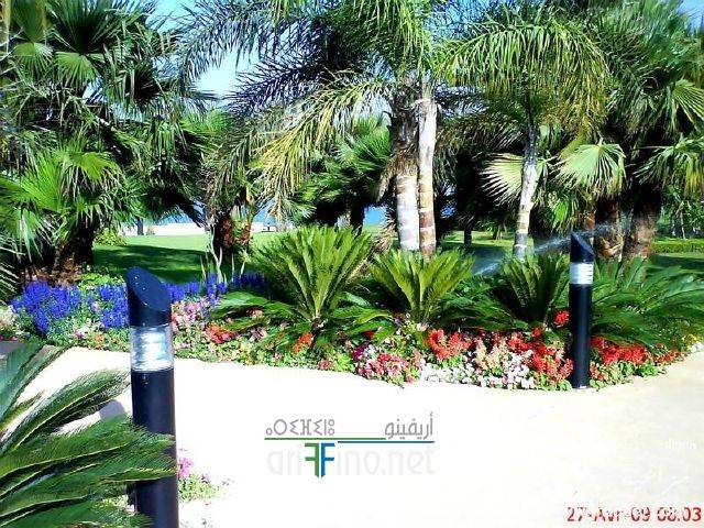 nador0595