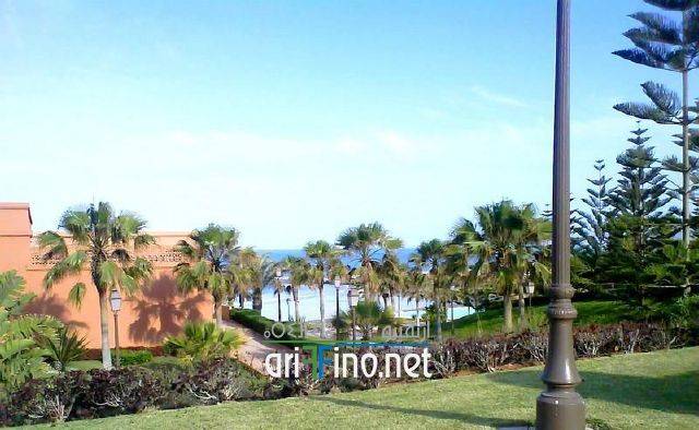 nador0596