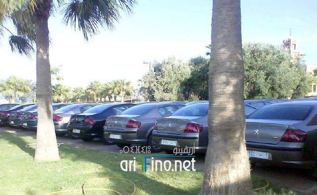 nador0597