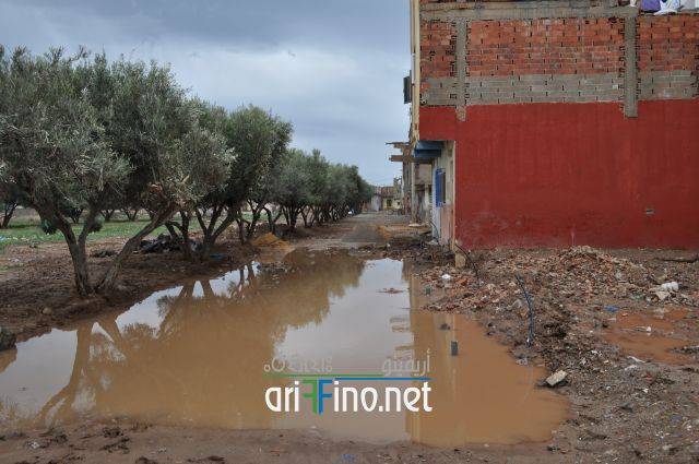 nador0763