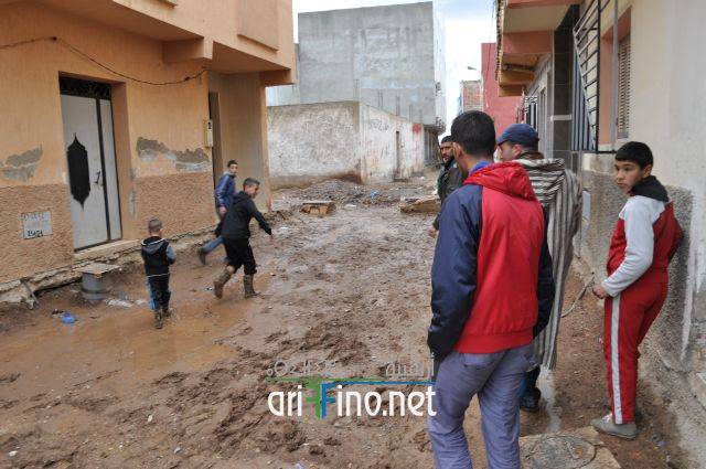 nador0773