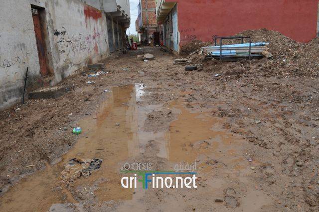 nador0775