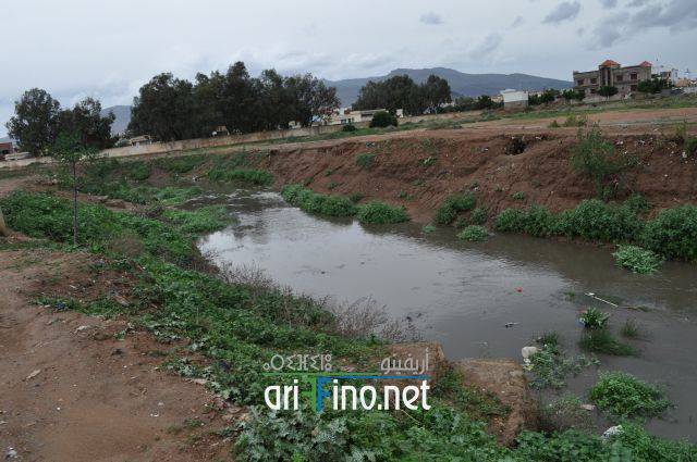 nador0799