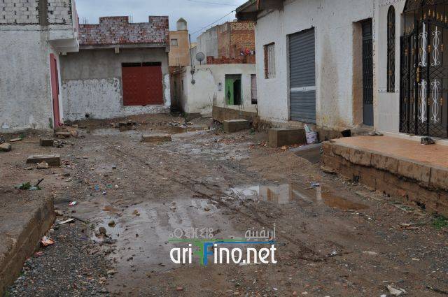nador0801