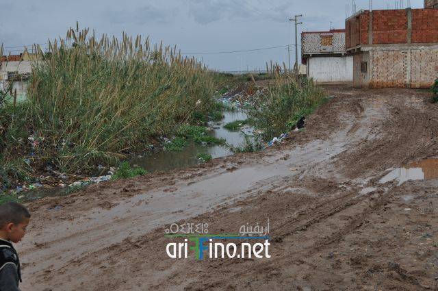 nador0802