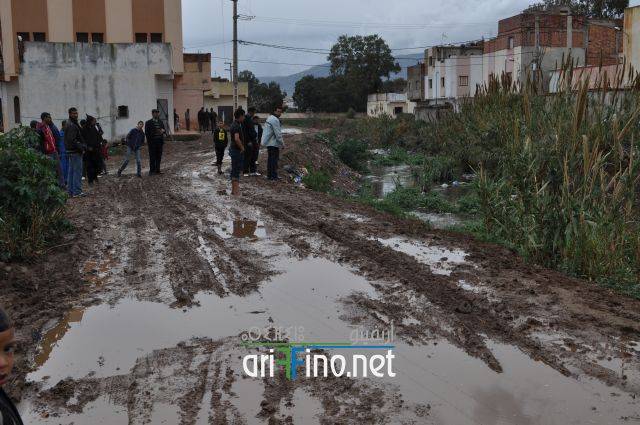 nador0804