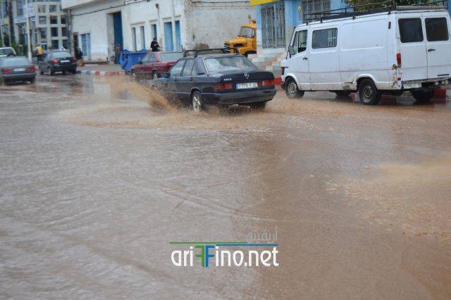 nador0005