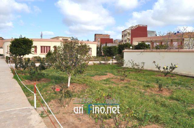 nador0177
