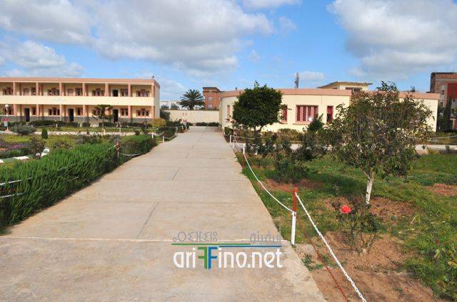 nador0178