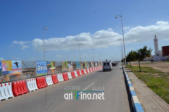 nador0209