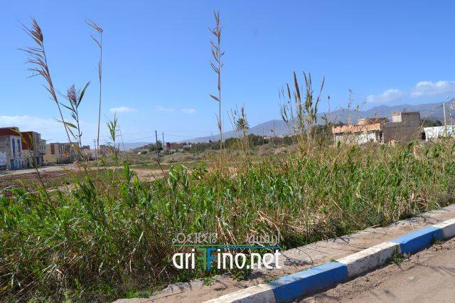 nador0210