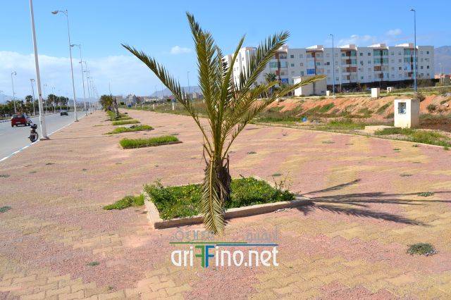 nador0216