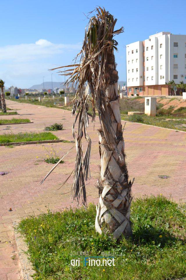 nador0218