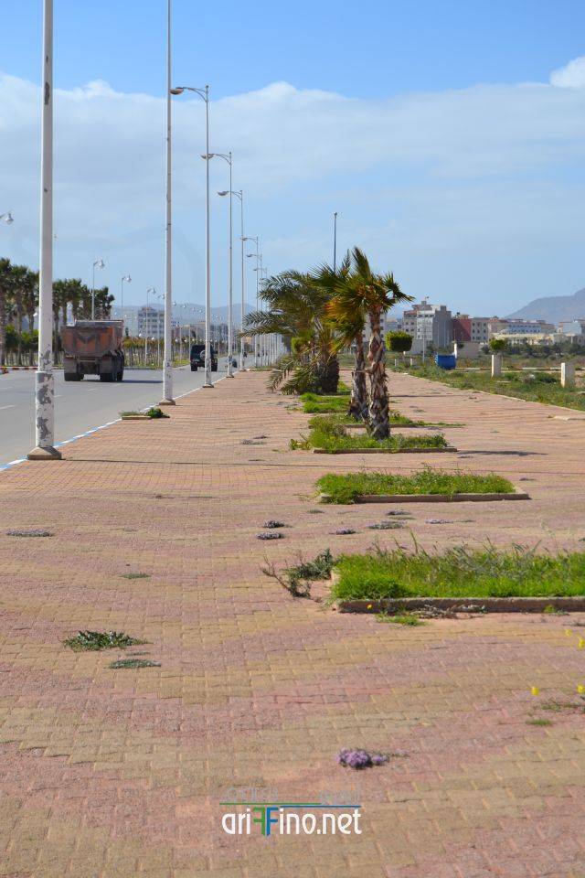 nador0219