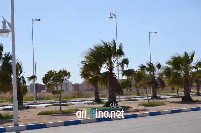 nador0220