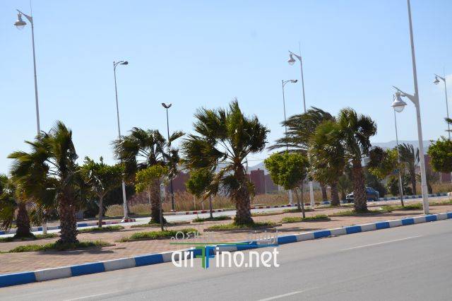 nador0229