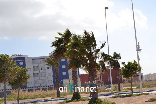 nador0231