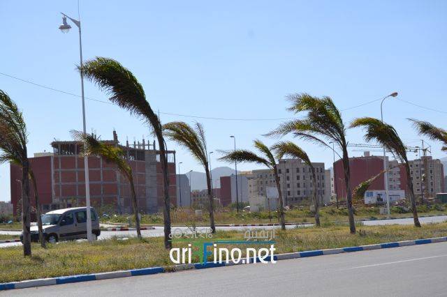 nador0239