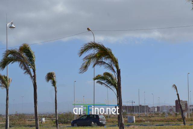 nador0241