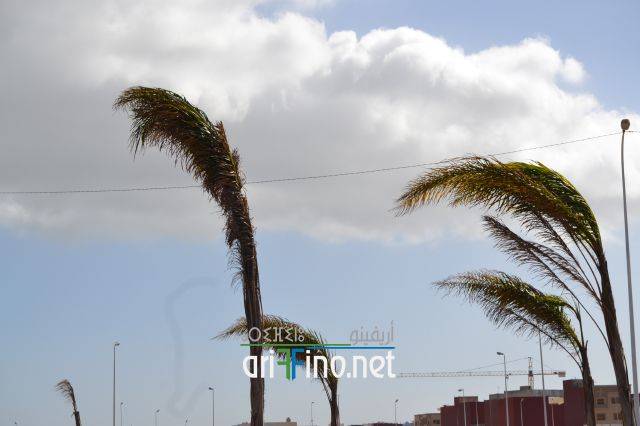 nador0242