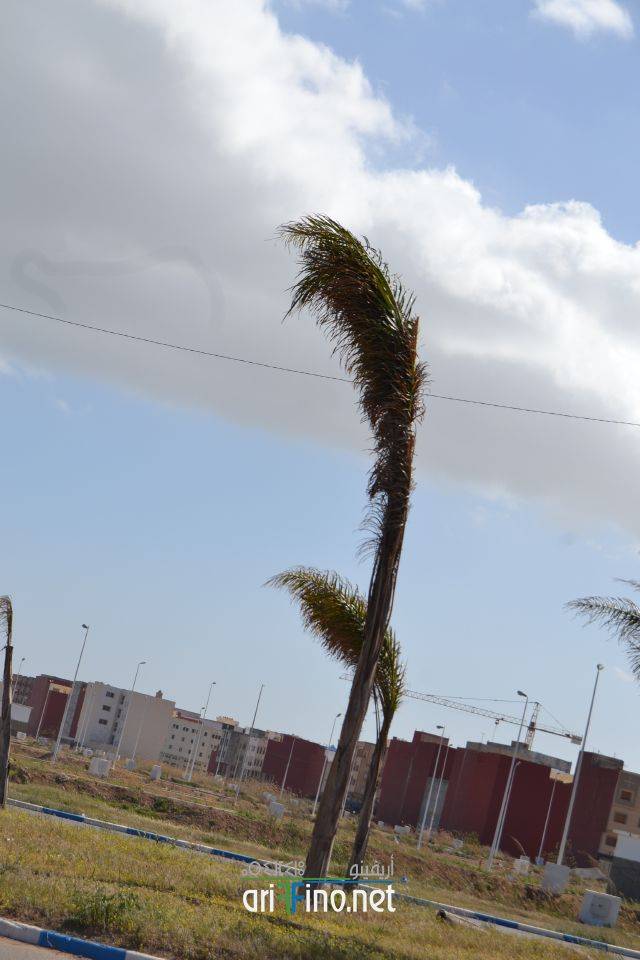 nador0245