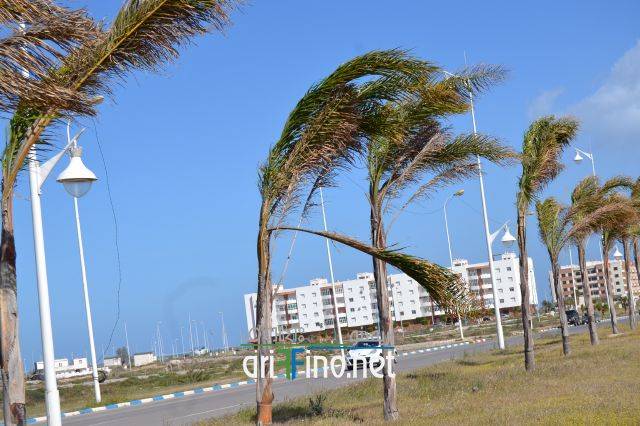 nador0246