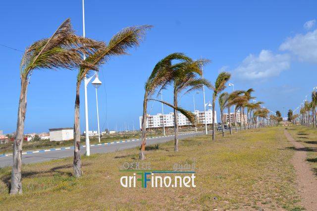 nador0247