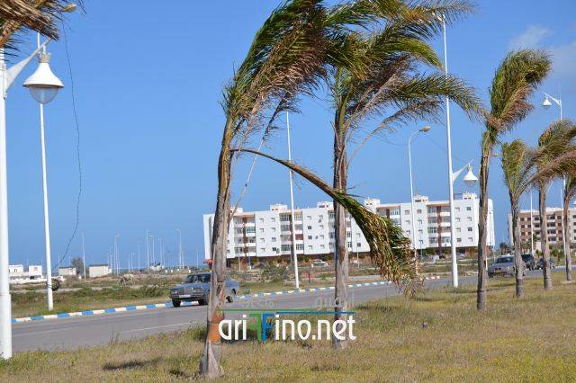 nador0249