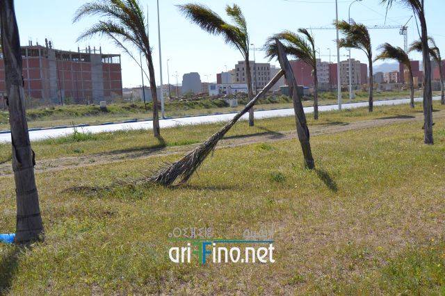 nador0250