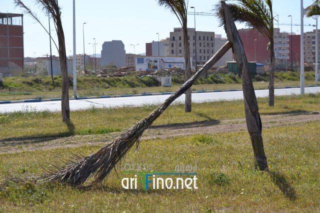 nador0251