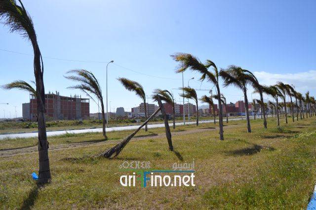 nador0252