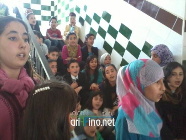 nador0255