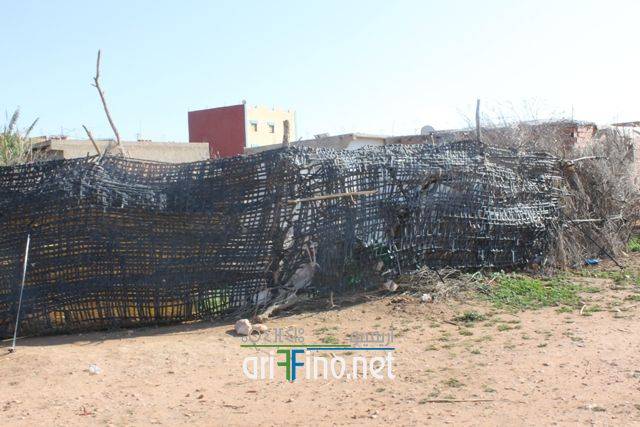 nador0276