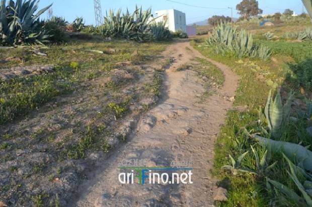 nador0282