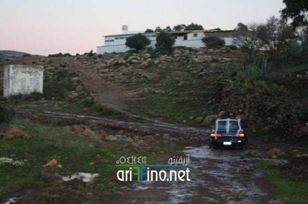 nador0293