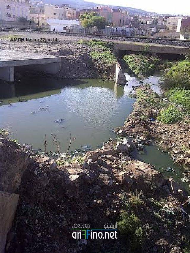 nador0377