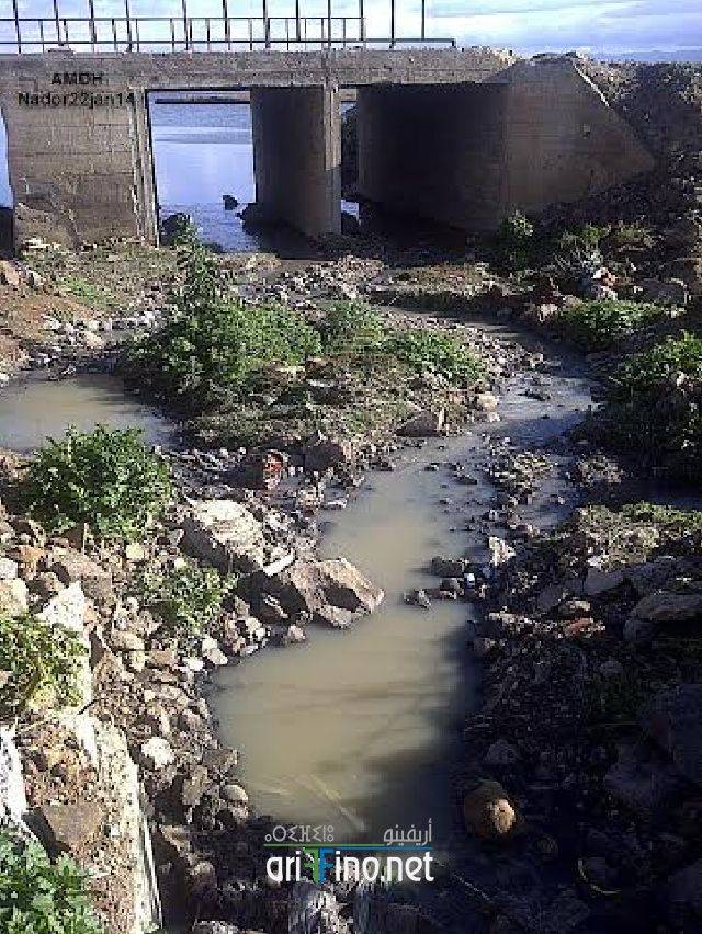 nador0378