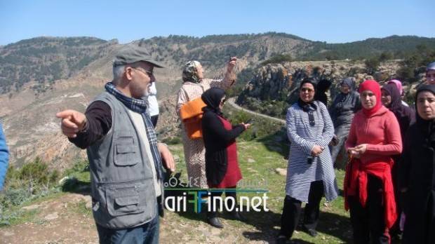 IF