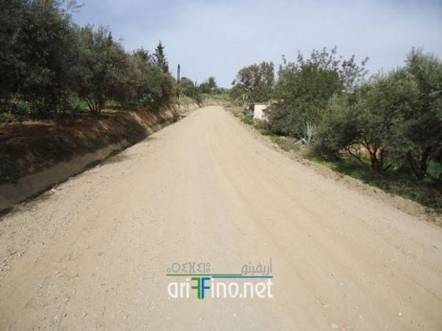 nador0714