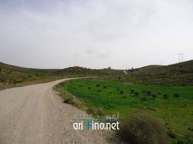 nador0715