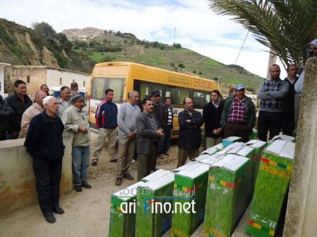 nador0826