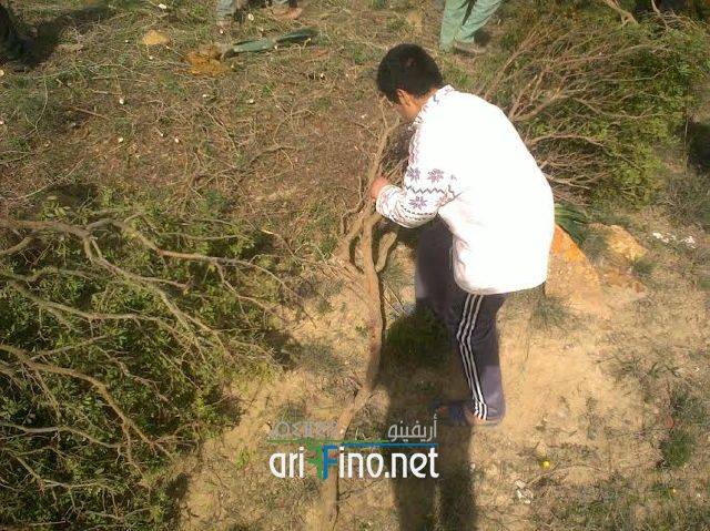 nador0985