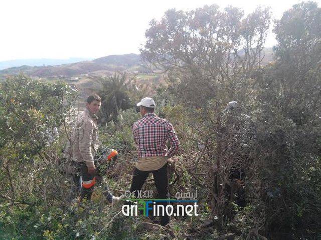 nador0986