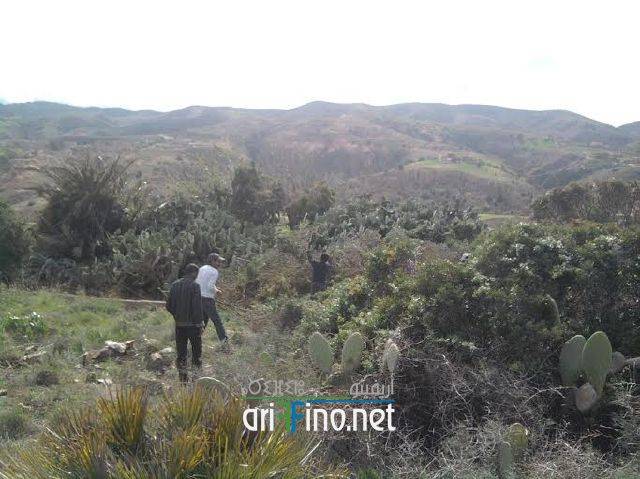 nador0988