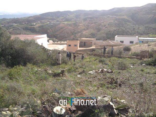 nador0990