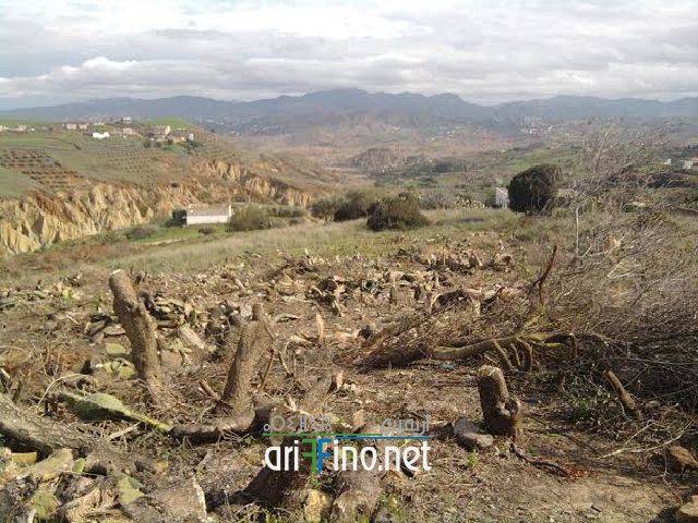 nador0991
