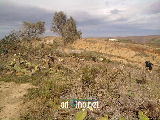 nador0992